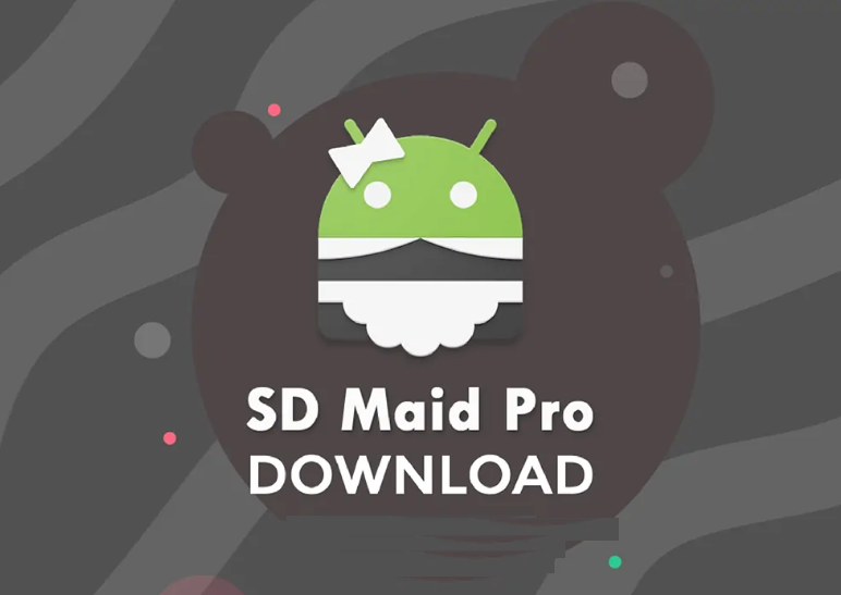 SD Maid. Sd maid pro версия